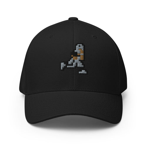 Tecmo Bo Fitted Hat